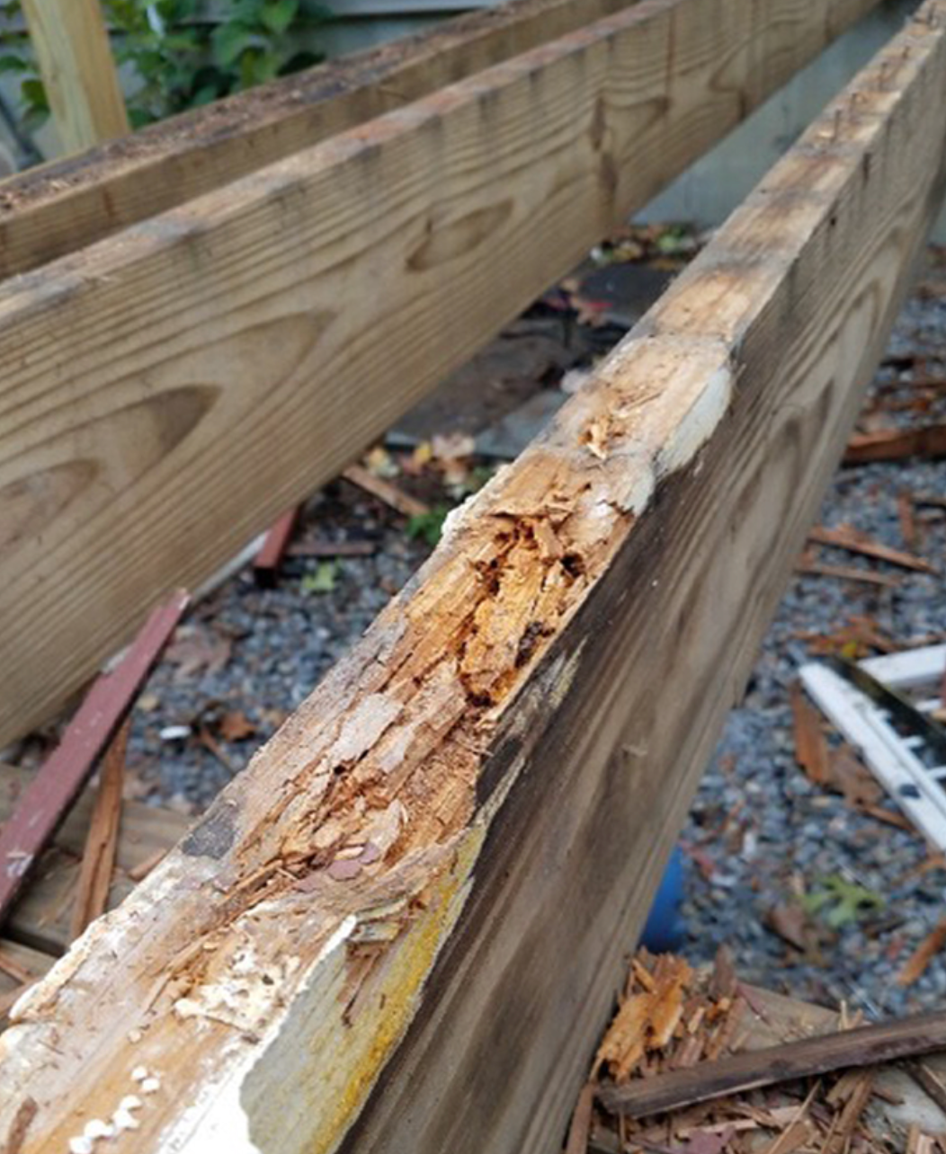 General Handyman Services: Norther Rivers & Gold Coast